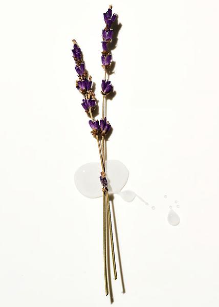 Лосьйон для тіла Lavender Body Lotion від PINK зображення