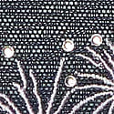 Color image