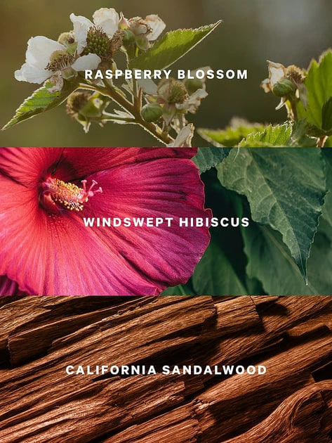 Лосьйон для тіла Serene Blooms від Victoria's Secret