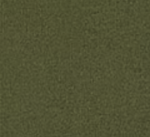Color image
