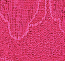 Color image