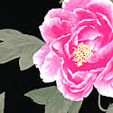 Color image