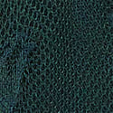 Color image