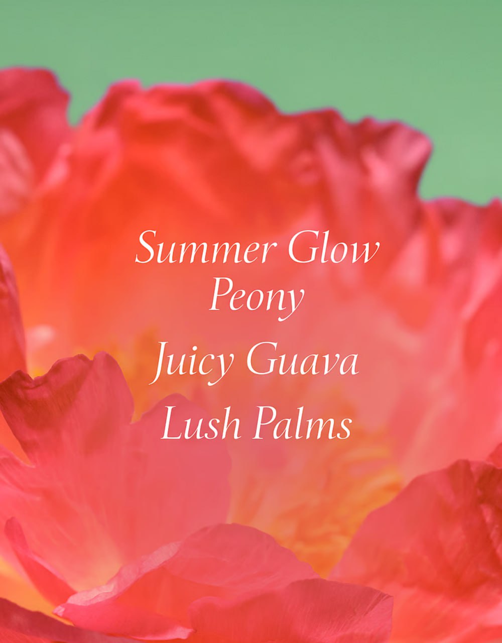 Парфумований лосьйон для тіла Bombshell Escape від Victoria's Secret Fine Fragrance Lotion