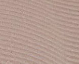 Color image