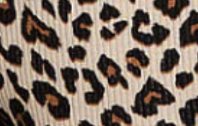 Color image