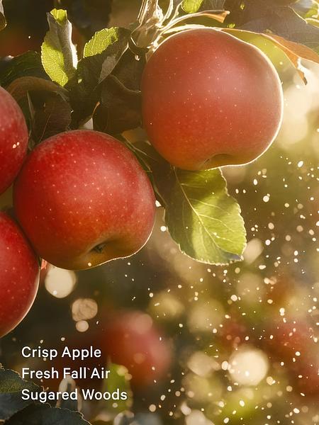 Лосьйон для тіла  Dreamy Apple Orchard від Victoria's Secret зображення