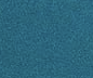 Color image