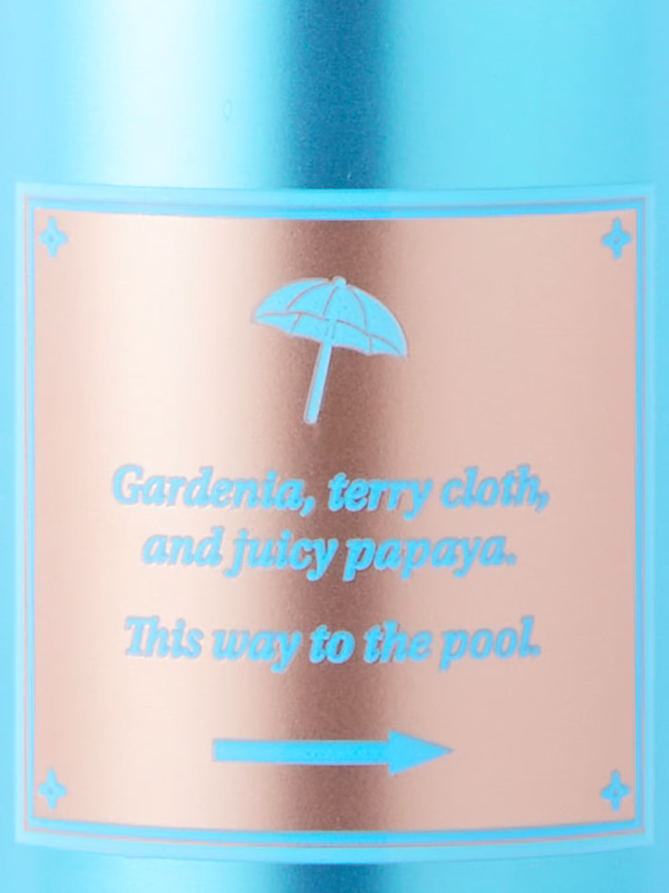 Міст для тіла Poolside Service від Victoria's Secret