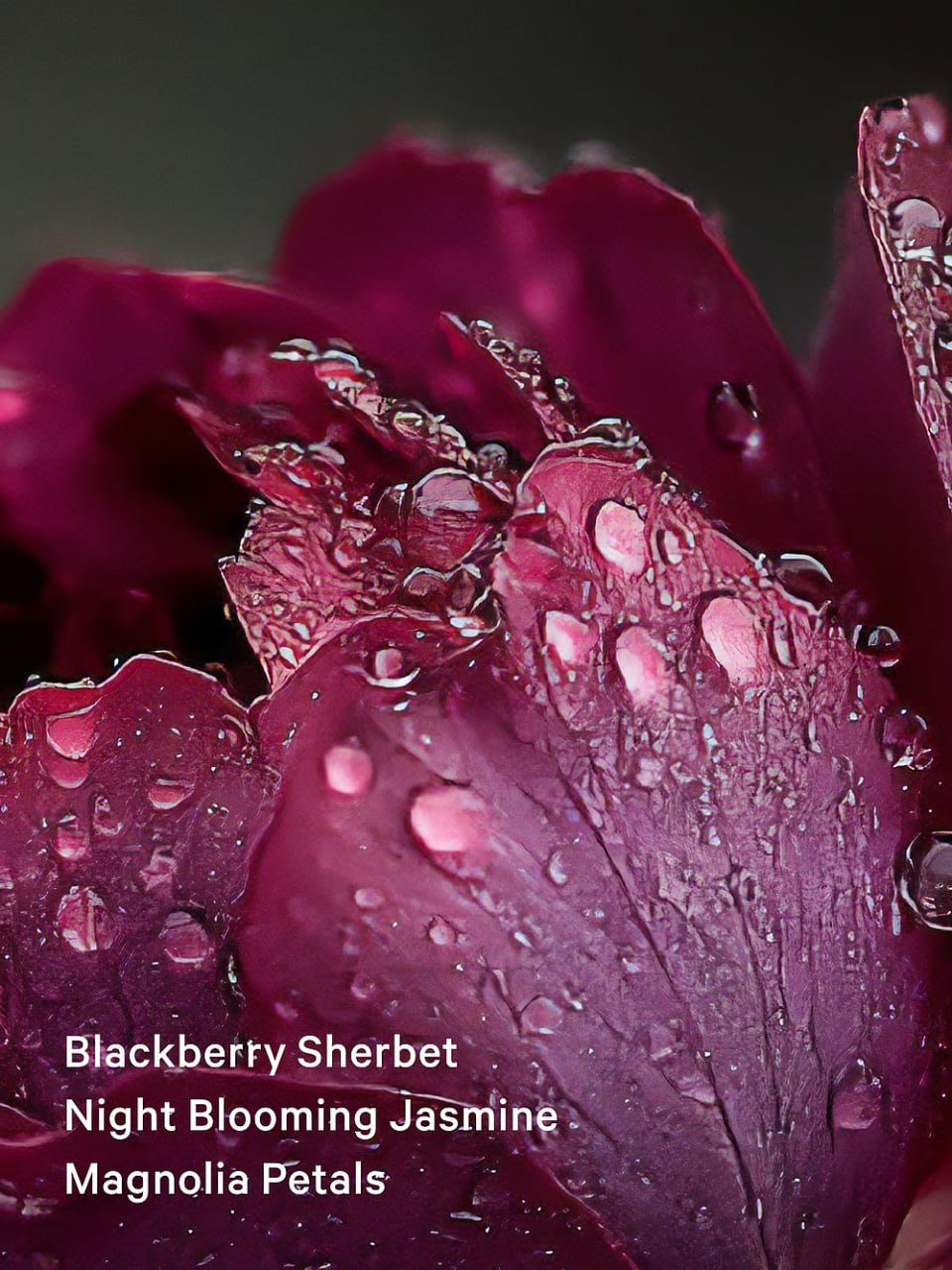 Міст для тіла Sultry Petals від Victoria's Secret