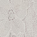 Color image
