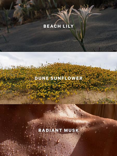 Лосьйон для тіла Sundrenched Blooms від Victoria's Secret зображення