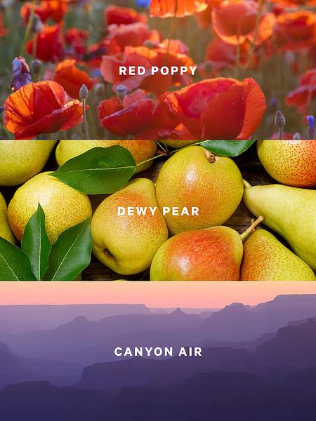 Лосьйон для тіла Canyon Flora від Victoria's Secret зображення